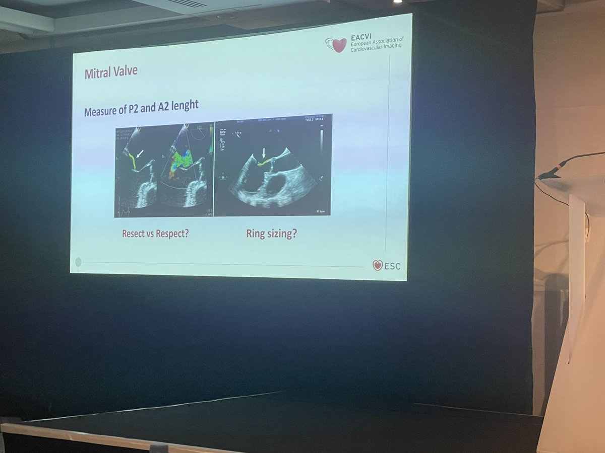 NMerke's tweet photo. #EchoNice Nina Ajmone Marsan live on advanced 3D #echofirst at its best https://t.co/44lfNwfpYJ