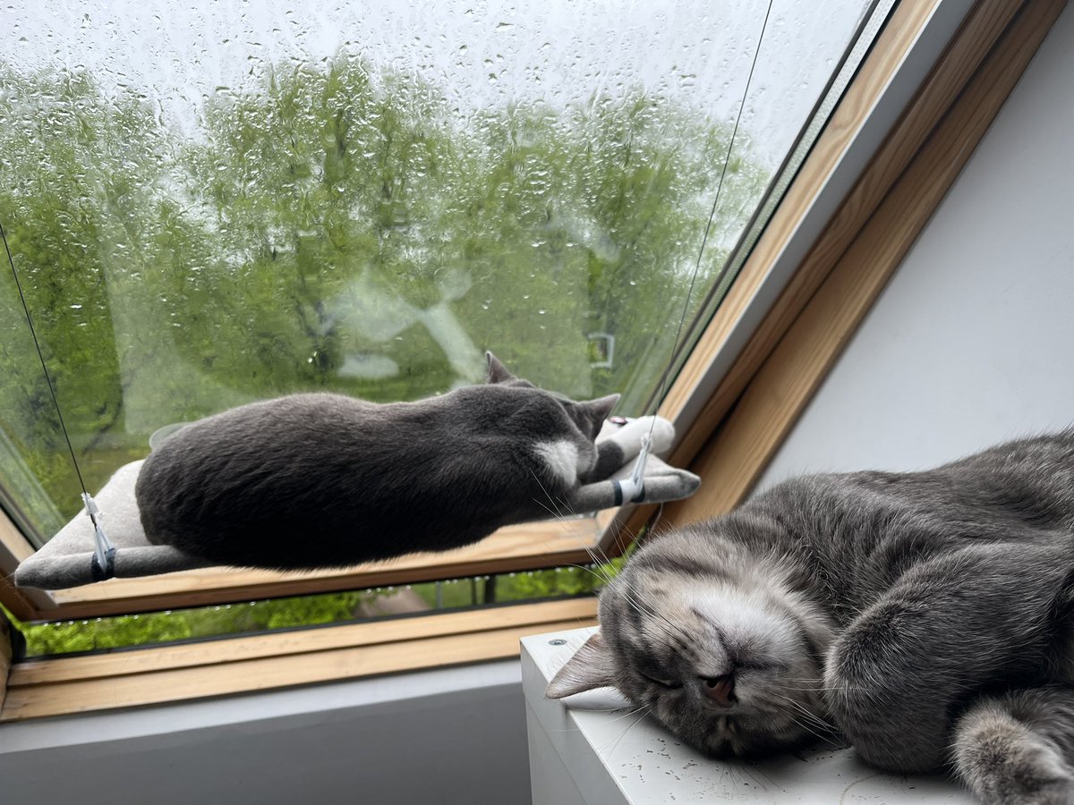 ancetarvida's tweet photo. 😭😫Es arī šitā gribu https://t.co/VE7q1bvBwg