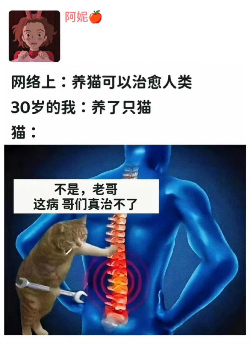 杭州的 tweet media