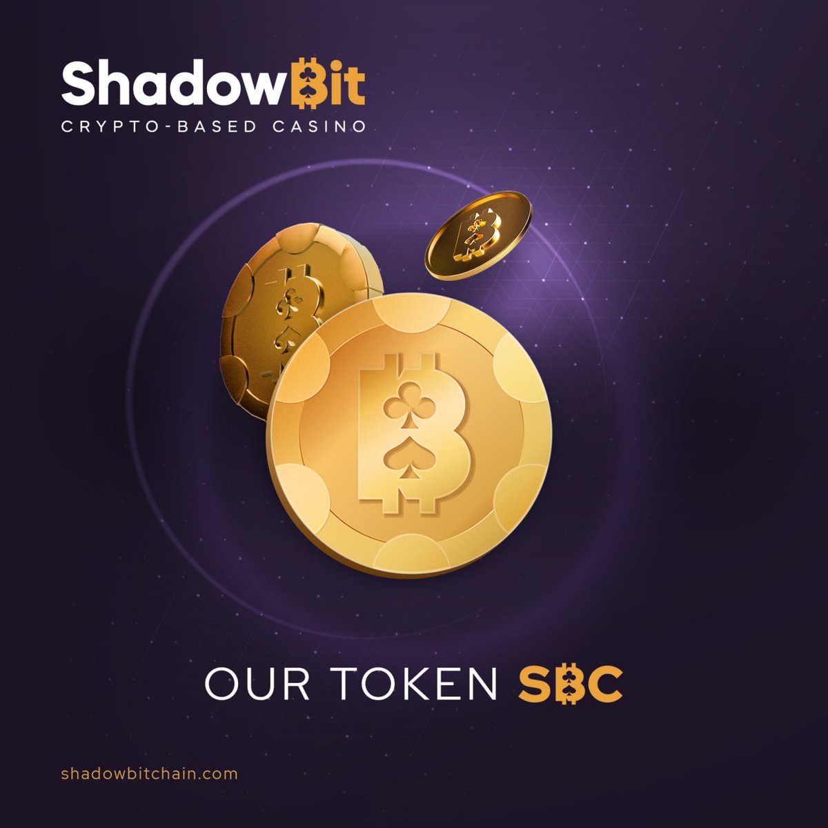 ShadowBit tweet media