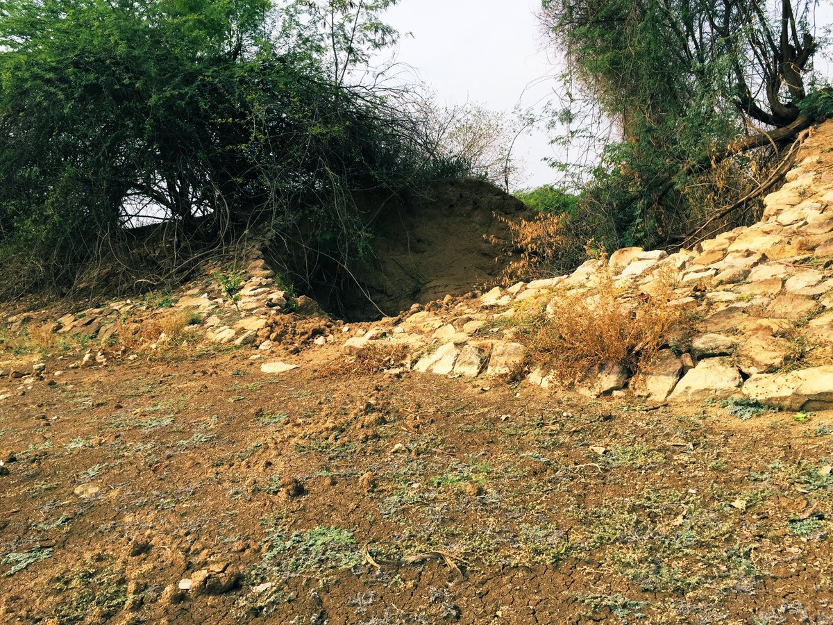 Prashanthbanda0's tweet photo. The embankment of lake has broken/cut during last rainy season due to heavy rains which is the only source for groundwater which we are dependent for irrigation .So we request you to please repair it to hold the water as usual ASAP.@KTRTRS @KTRoffice @TelanganaCMO @Collector_RSL https://t.co/wT15wAYrom