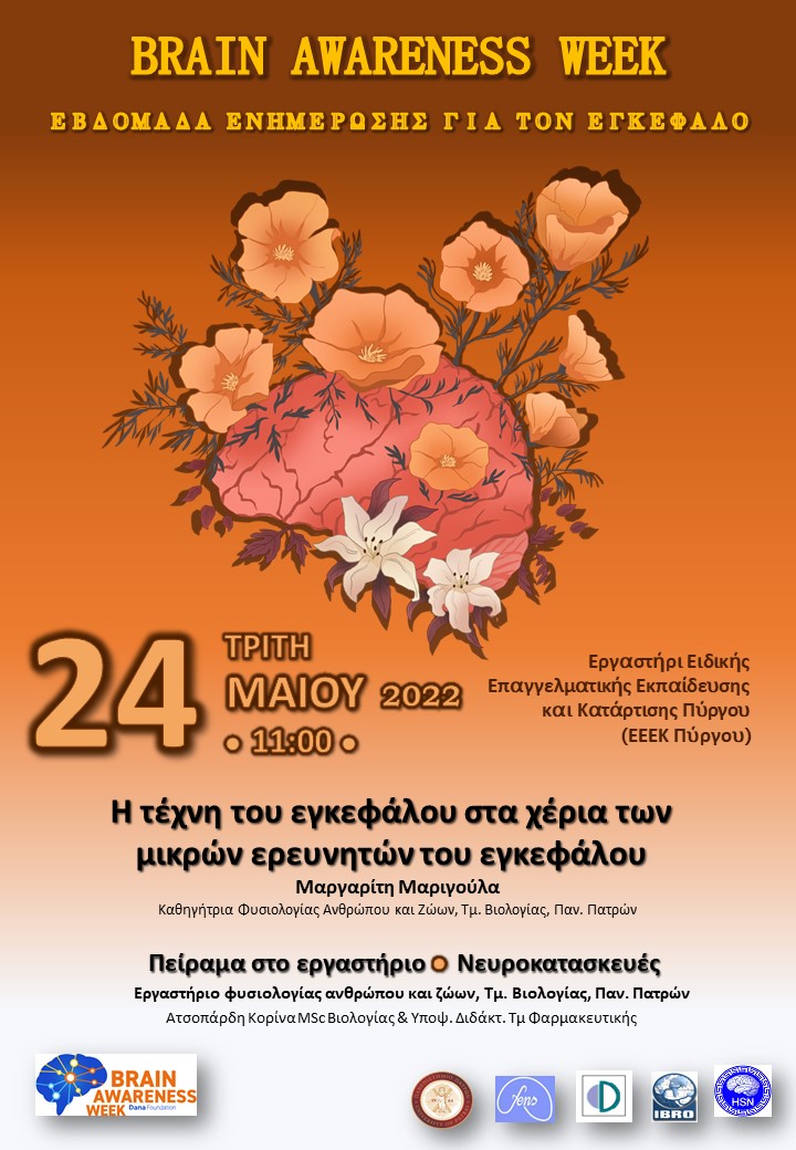 Brain Awareness Week: 24 Μαίου 2022 @ 11:00, Εργαστήρι Ειδικής Επαγγελματικής Κατάρτισης Πύργου (ΕΕΕΚ Πύργου)
Πείραμα στο εργαστήριο – Νευροκατασκευές - Μαργαρίτη Μαριγούλα
"Η Τέχνη του εγκεφάλου στα χέρια των μικρών ερευνητών του εγκεφάλου"