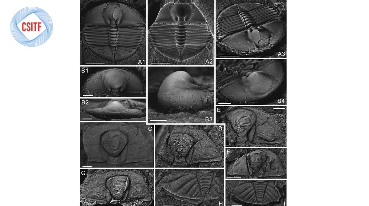 CSITFair's tweet photo. Scientists discover new trilobite association over 400 mln years ago in China's Yunnan.

Learn more: https://t.co/dJ2cRdWeyt https://t.co/kc3QMM4pLX