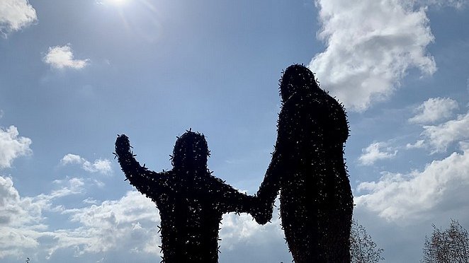eventjes's tweet photo. Het is World Bee Day, Wereld Bijen Dag. Bijen zijn belangrijk voor onze omgeving, maar het aantal bijensoorten neemt af. Het 12m hoge kunstwerk Beehold van Florentijn Hofman besteedt hier aandacht aan. Het bestaat uit duizenden bijen! #wereldbijendag #WorldBeeDay2022 #WorldBeeDay https://t.co/MVtsc8aMn4