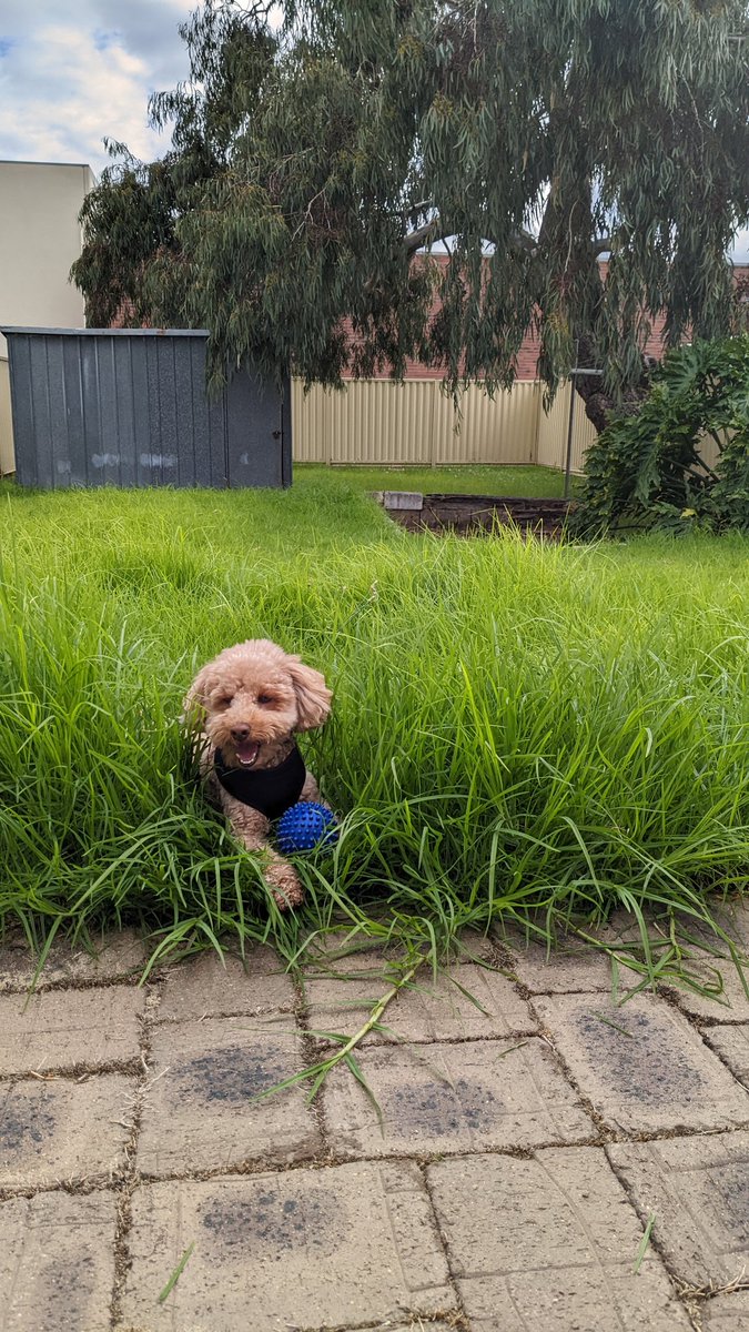 LJ Kenward tweet media