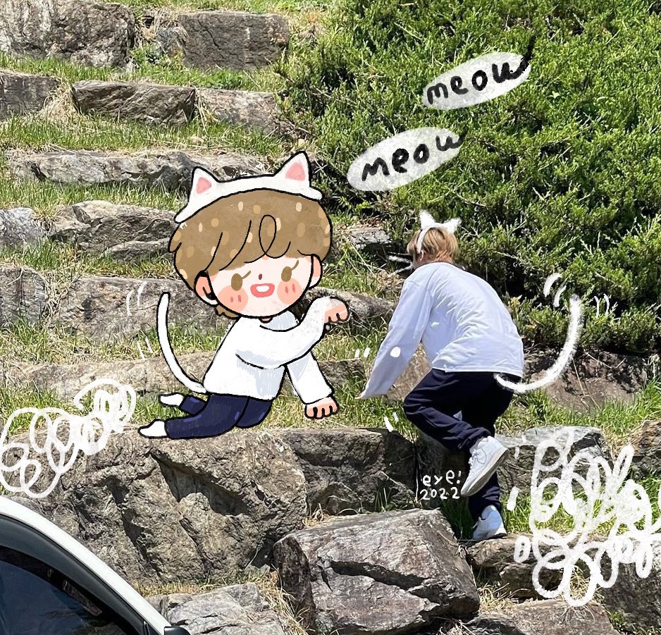 tOOOOmOrOw's tweet photo. 🐈 https://t.co/NkT0hEDWUQ