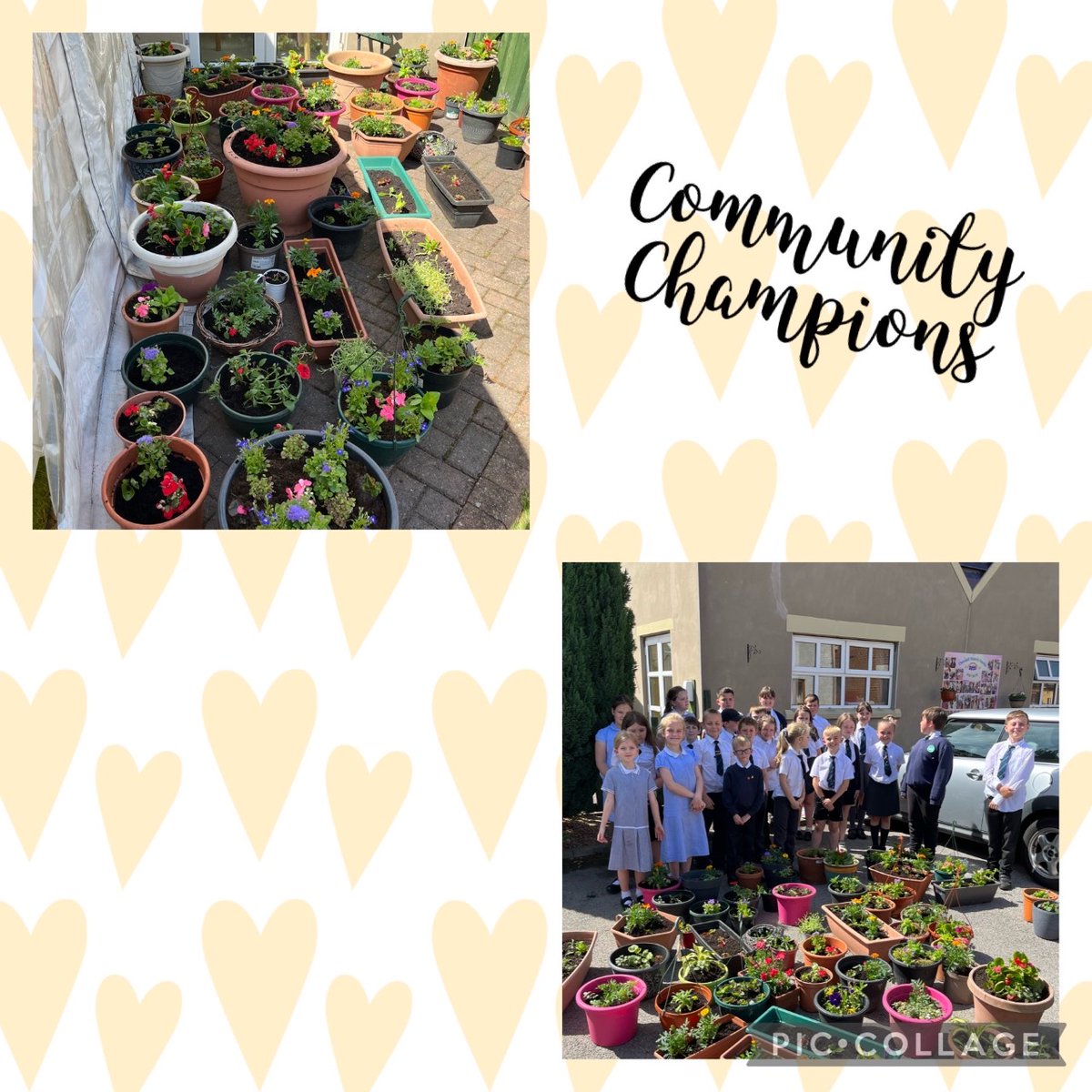 MrB_TheMill's tweet photo. Yesterday, Year 4 were invited to @HouseThornhill to spend time with the residents planting some flowers to brighten up the memory garden. The children were so well behaved and really enjoyed being with the residents #ASAcommunitychampions https://t.co/10krBhbHOl