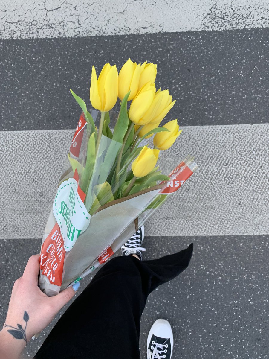 typindo's tweet photo. Tohle stálo 30 korun a ty se vymlouváš jak jsou kytky drahý https://t.co/S2qK2IIACO