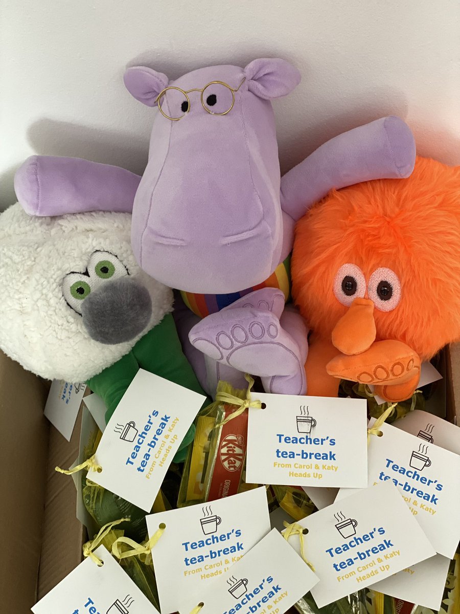 Attending the #HealthymindED22 conference today. Sharing our Heads Up programmes with local schools. #Brainbesties #Headsup #childrensmentalhealth