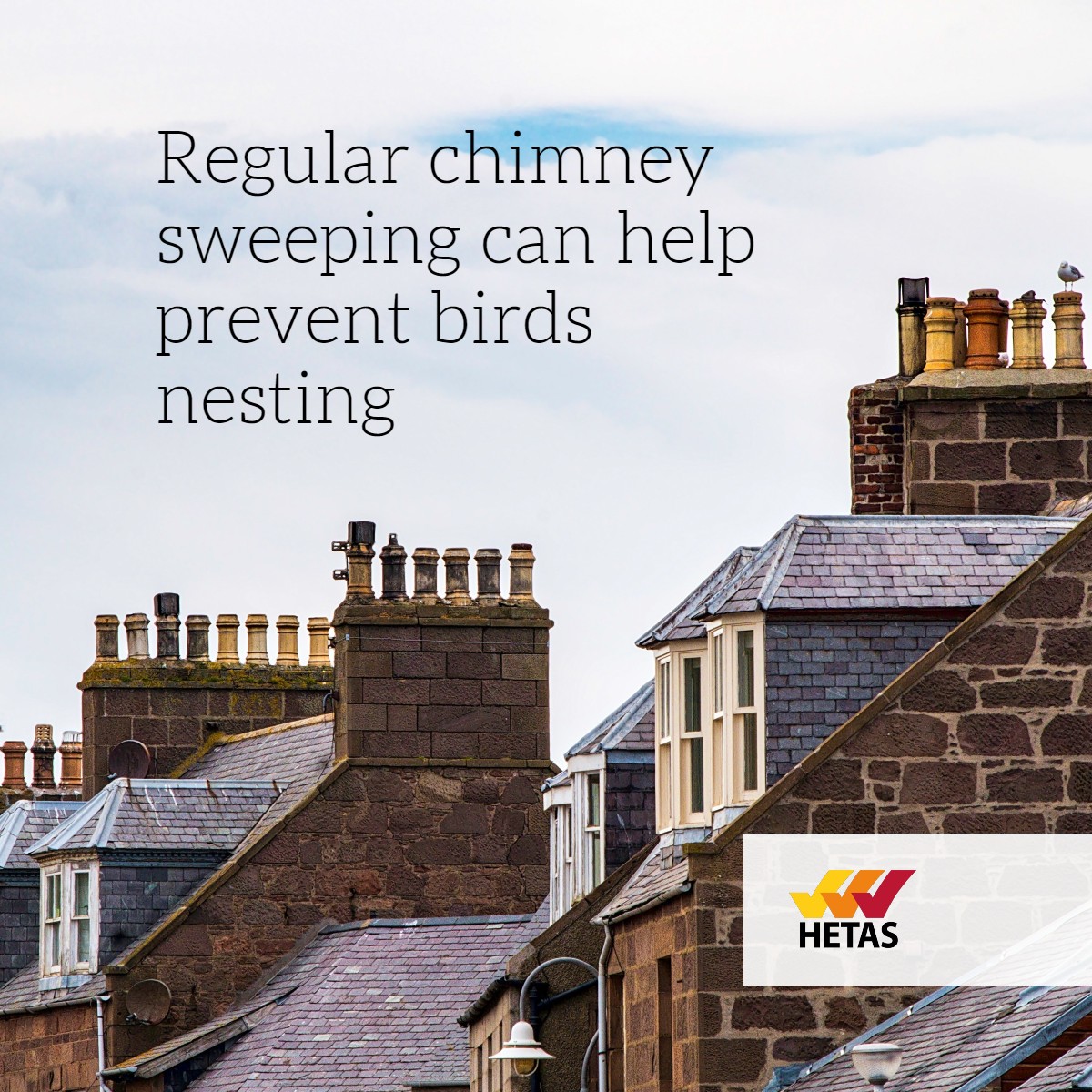 hetas_uk's tweet photo. If you suspect there is a bird nesting in your chimney, speak with a #HETAS approved sweep.

It is an offence to intentionally take, damage or destroy any active wild bird's nest in the UK under the Wildlife and Countryside Act 1981.

🎩 https://t.co/adZih9D9CR 🎩 https://t.co/aK46B41q8j