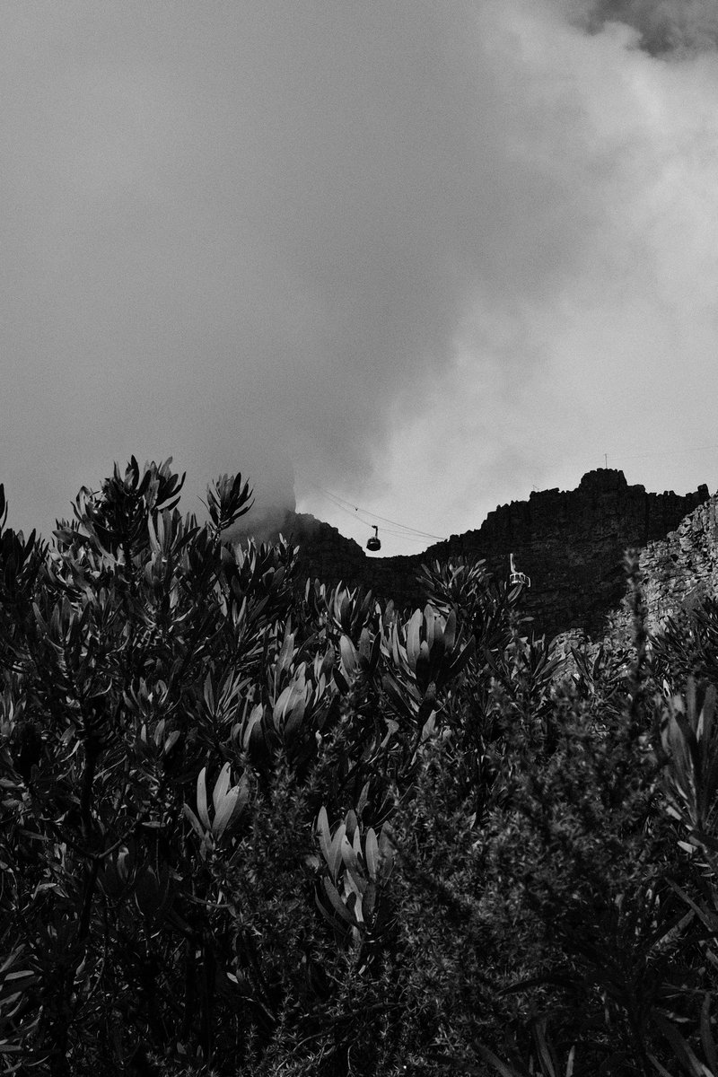 Ian Skene tweet media