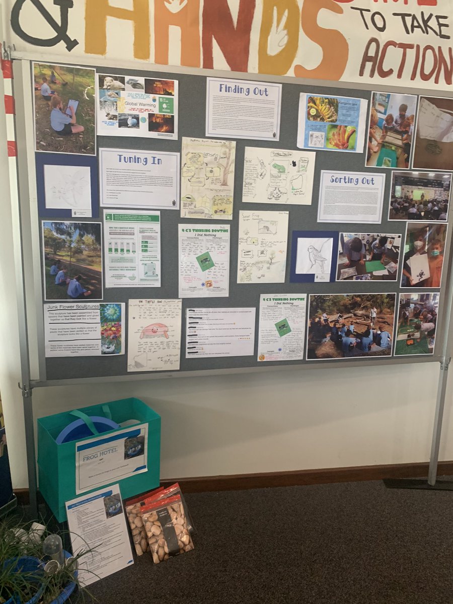 So proud of my students and the Year 6 teaching team for putting together this snapshot of their learning through the PBL process. Displayed at the Herdsman Lake Discovery Centre until Friday. #purposefulpedagogies #sdg15 #aiswa <a href="/mareewhiteley/">Maree Whiteley🌏👫</a> <a href="/HakkinenLisa/">Lisa Hakkinen</a>