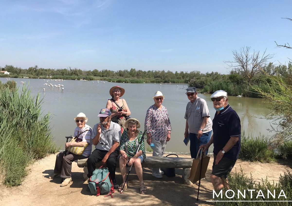 [Vie quotidienne]
Voilà une belle sortie pour nos résidents de Montana #boucbelair ! 
Direction les Saintes-Maries-de-la-Mer pour rendre visite aux flamands roses !✨ 
Toutes les sorties et activités sont ouvertes au public alors n'hésitez plus 😉
#résidence #seniors