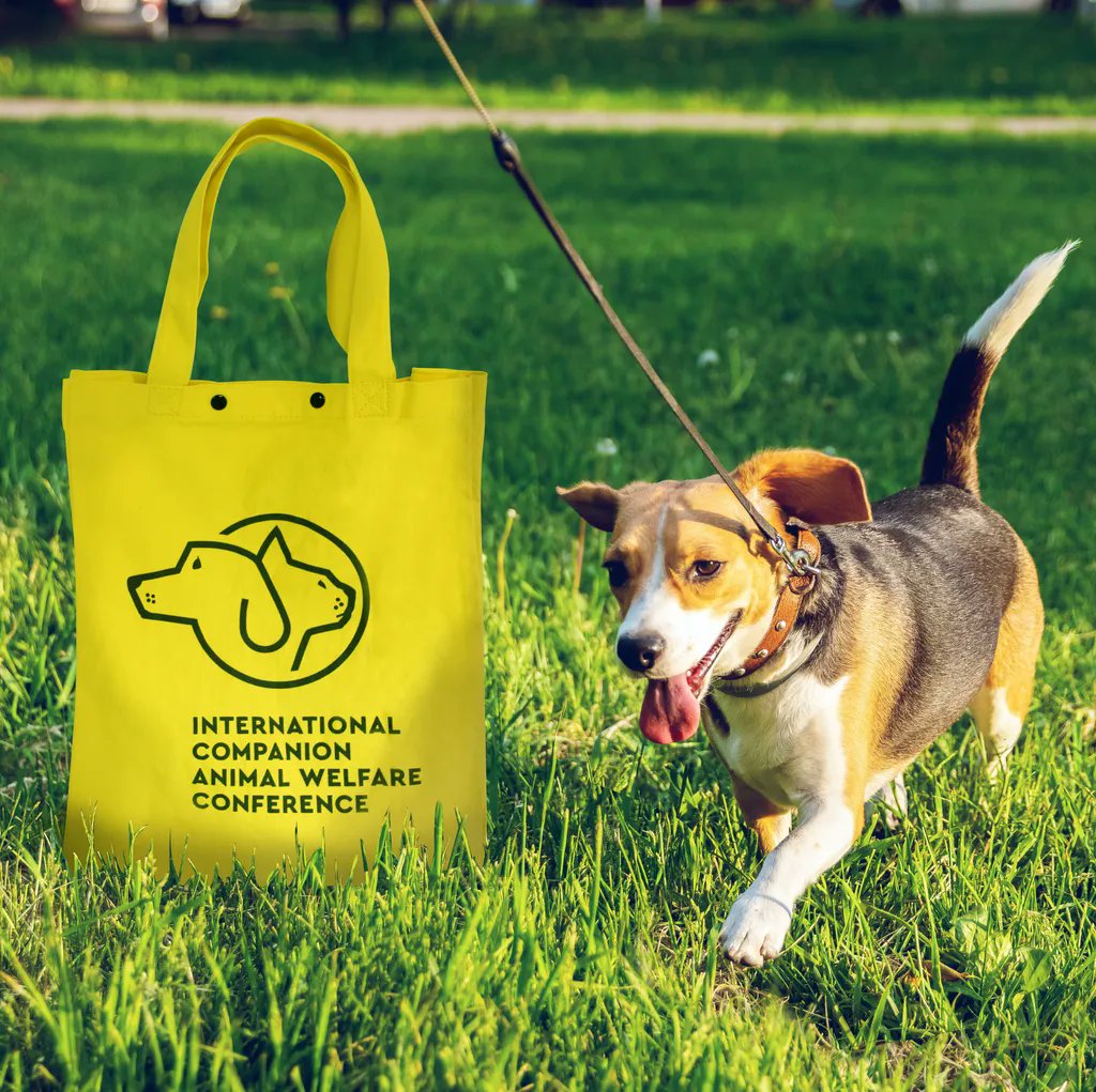 BSmithPackaging's tweet photo. It's rescue dog day! We provide packaging for charities like Dogs Trust for general sales and events.

#bsmithpackaging #canvasbags #rescuedogday #dogstrust https://t.co/IoTXIKHJ83