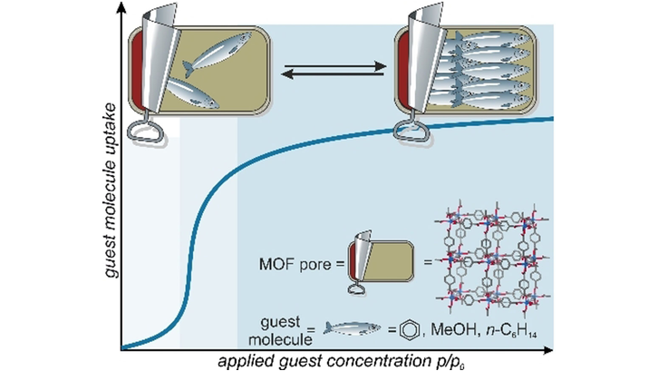 angew_chem's tweet photo. Guest Alignment and Defect Formation during Pore Filling in #MetalOrganicFramework Films (Takahashi) @bettinabaumgar3 @MasaGroup_OPU @KenjiOkada_nano https://t.co/IPSHSjazNl https://t.co/4gkiZCR1Bg