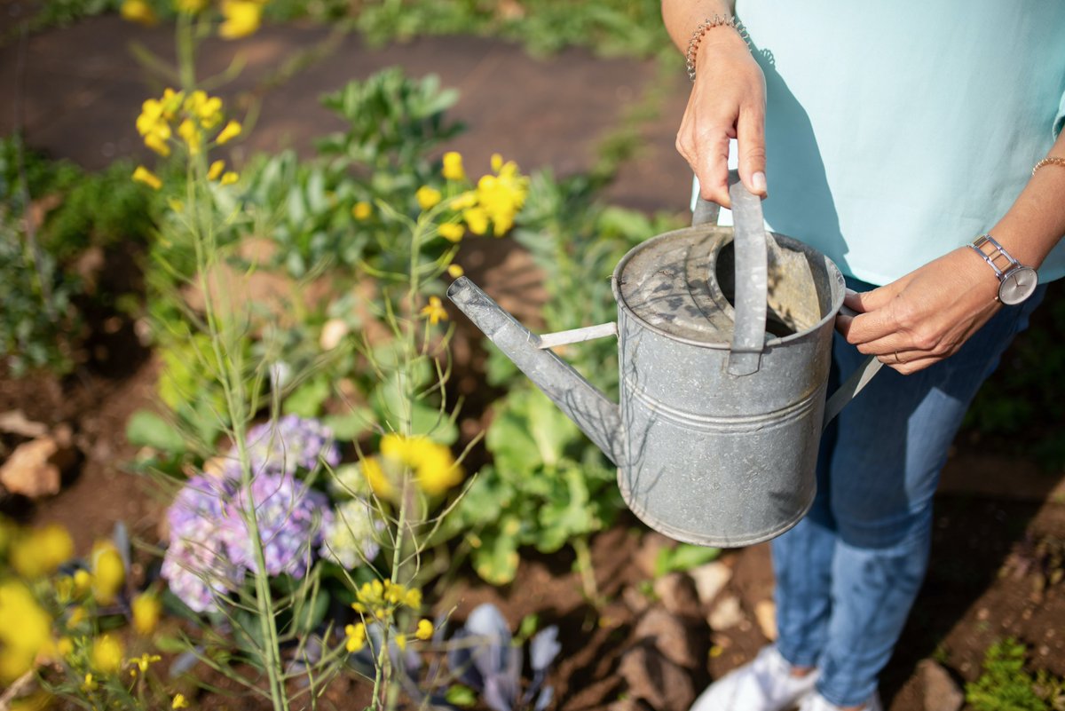 Wil jij deze zomer in je droomtuin zitten vol bloeiende bloemen, zoemende insecten en kwetterende vogels? Volg de gratis online cursus ‘Een Levende tuin’ via bit.ly/3LuiIKJ en ontdek hoe je je tuin omtovert tot een fijnere plek voor jezelf en de natuur! 🌻 🐝 🐦
