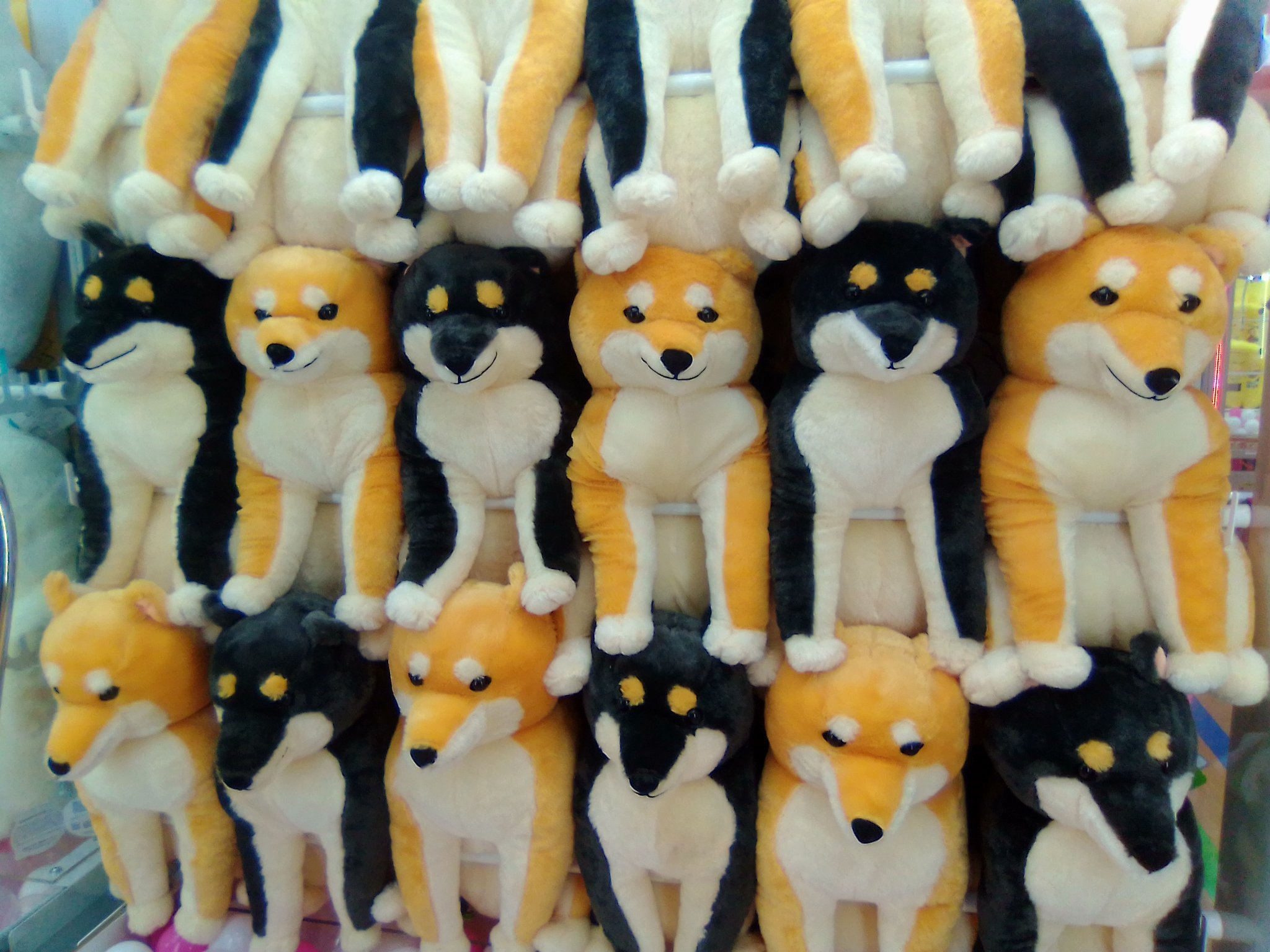 Amazon.co.jp: ほっこり柴犬茶々ノ助ごはんちょーだい ウルトラBIG