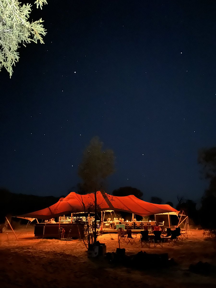 janeamandaL's tweet photo. Desert by night #northernterritory https://t.co/hrJmMiReUx