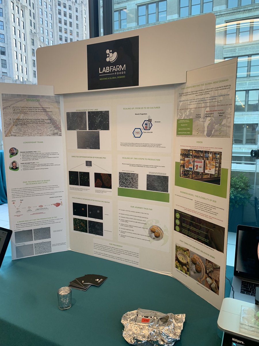 Tonight I remembered why I studied #Biotechnology! Lab meat 🧫🥩, shrimp shell leather🦐👜, pollutant eating organisms🦠💨, drug discovery for therapy resistant tumors👩🏻‍🔬💊? All happening in NYC-based #biotech companies! Thanks <a href="/MilliporeSigma/">MilliporeSigma</a> x The Cure Building for organizing!