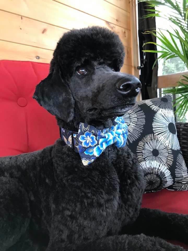 Micheline Gamache tweet media