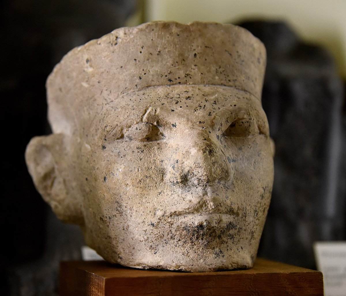 AfricanHistory7's tweet photo. Narmer was an ancient Egyptian Pharoah of the Early Dynastic Period.
He is estimated to have ruled approximately around 3150 BCE. 

 Many scholars consider him the unifier of Egypt and founder of the First Dynasty, and in turn the first king of a unified Egypt. https://t.co/9HX6IfNMDg