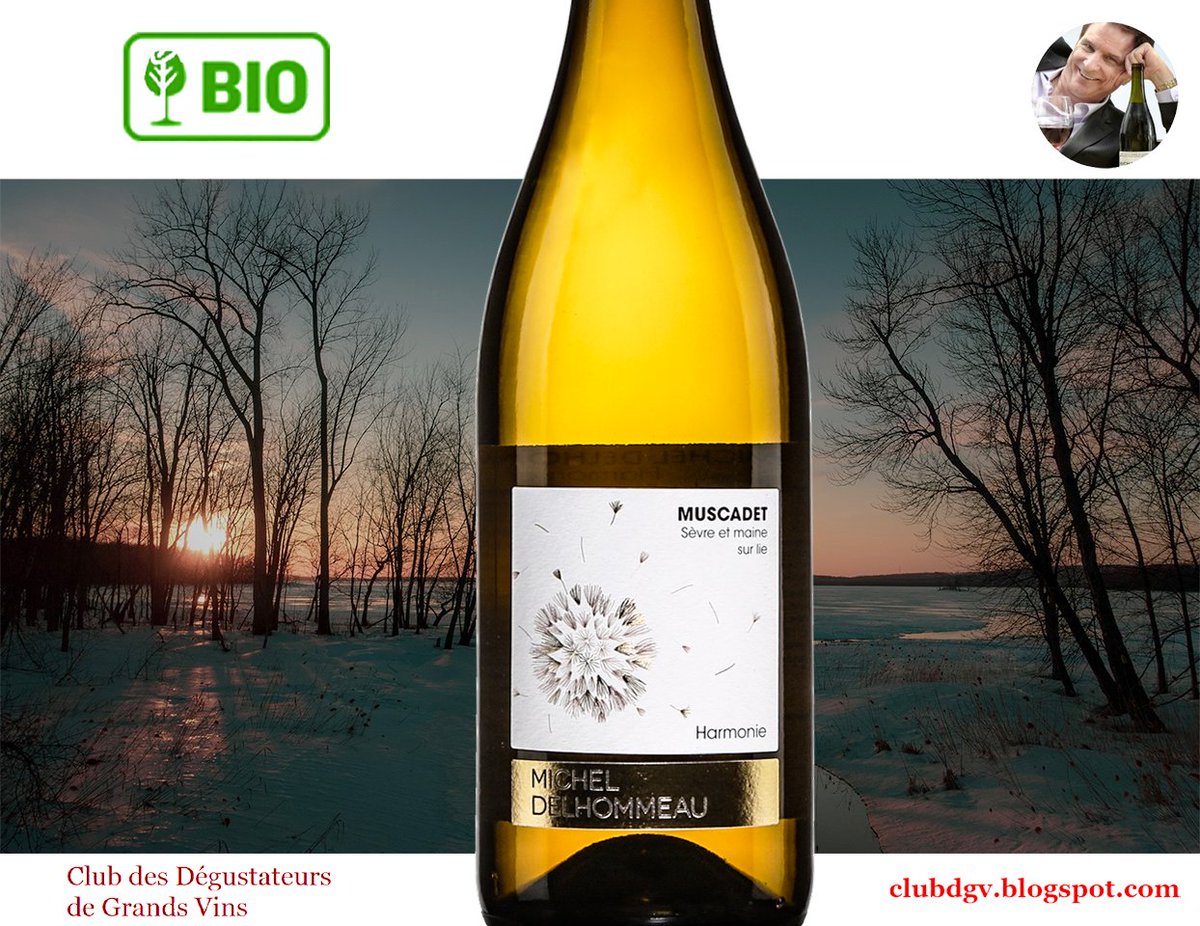 Vous ne connaissez pas ce Muscadet de Sèvre et Maine sur lie bio? Normal, puisqu'il n'est disponible que depuis peu au Québec. C'est maintenant le temps de faire connaissance avec celui-ci! <a href="/vinsdeloire/">Vins du Val de Loire</a> <a href="/ImportationsBMT/">BullesMousseTanins</a>  👉👉 bit.ly/3NtwGhl #vin #wine