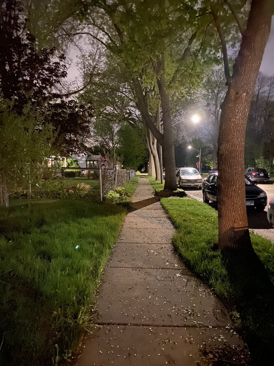 Benjamin_D's tweet photo. No dog walkers or smokers out tonight, 10:58pm @falenkdwb @JennyKDWB https://t.co/REVJQQm1ae