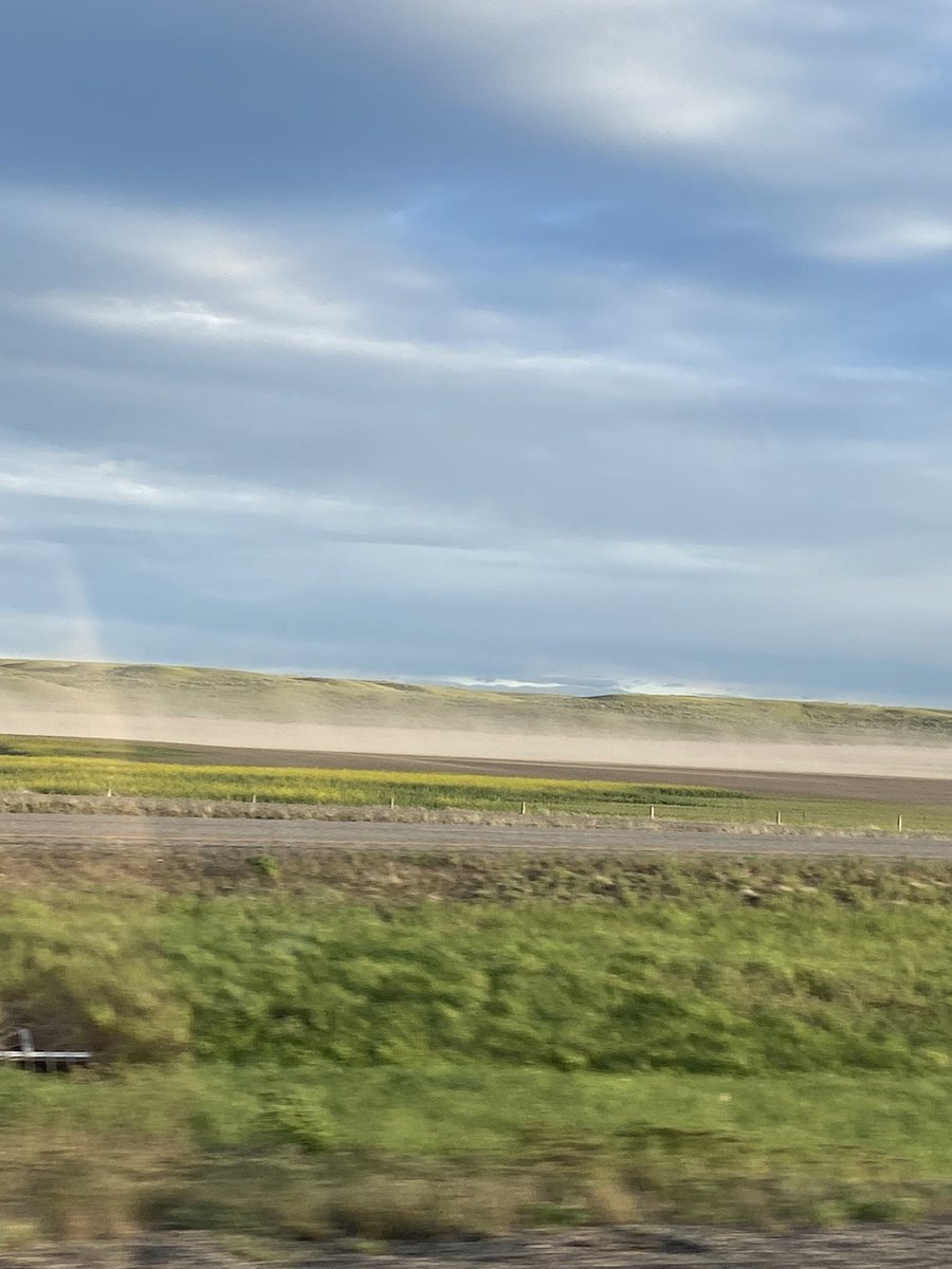 Jaymi_Wegner's tweet photo. It was a bit windy in Southern Montana  today 💨 the field in the picture was some new ground one of my growers picked up this year. The grower will be taking this field from convention tillage to no-till https://t.co/E7YlmOCk3Q
