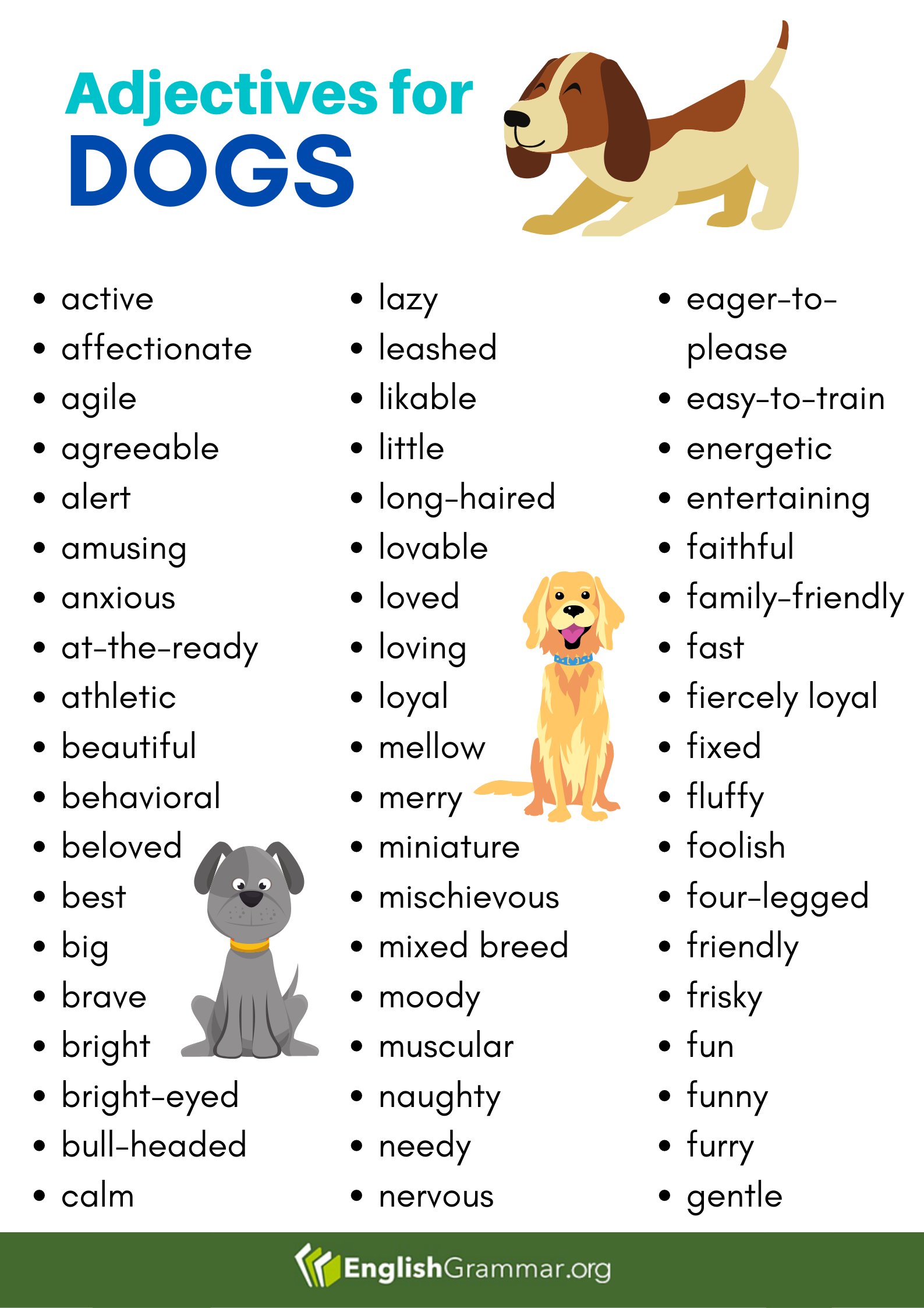 describe-a-dog-kh-m-ph-nh-ng-c-i-m-c-s-c-c-a-ch