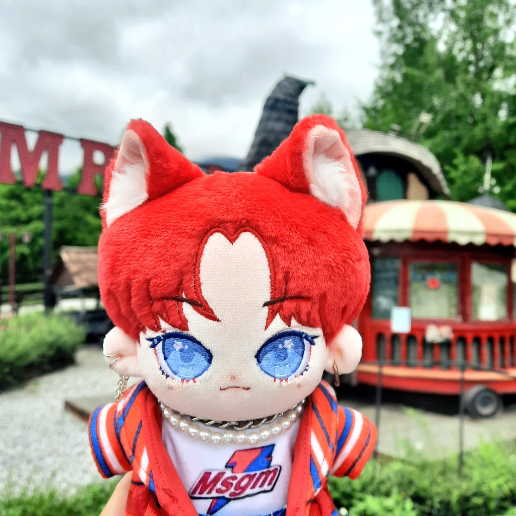 喵中 냥중 tweet media