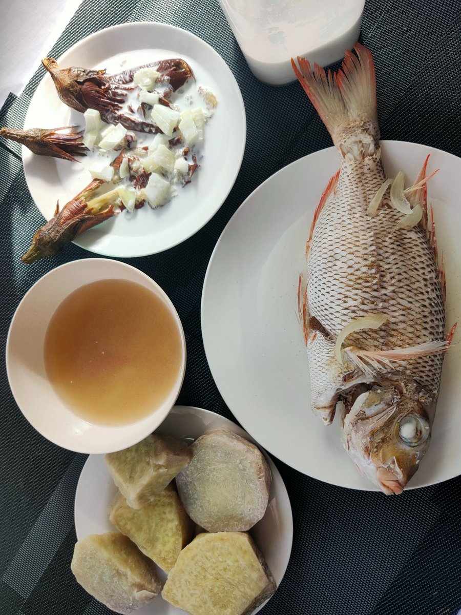 mytagimoucia's tweet photo. Yen Can Cook 👩🍳 Craving satisfied 😁 Boiled fish 🐟eggplant 🍆 with miti🥥🌴 and dalo 🤗 #PasifikaFood 🇫🇯 in Kiribati 🇰🇮 #DayOffCooking https://t.co/ODjh7jHkRC