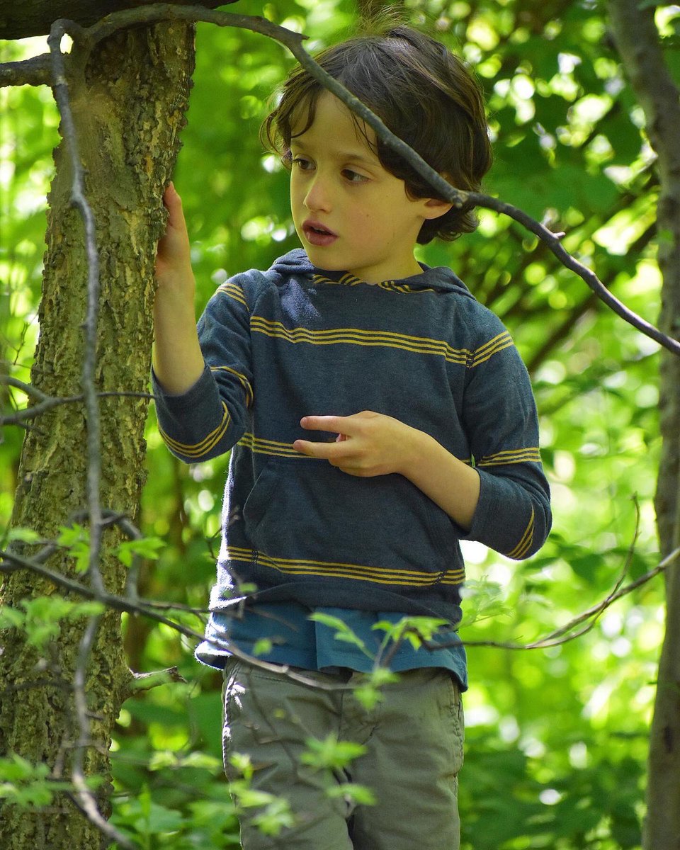 SteinerSchoolNY's tweet photo. “Children need the woods for their spirits to thrive. A woodland gives children a trustworthy tranquility.” #jaygriffiths #acountrycalledchildhood #steinerearlychildhood #healingeducation #waldorfeducation #willforces #outdoorsclassroom #outdoorplaying #steinerstudents https://t.co/EIGUT9T8Z3