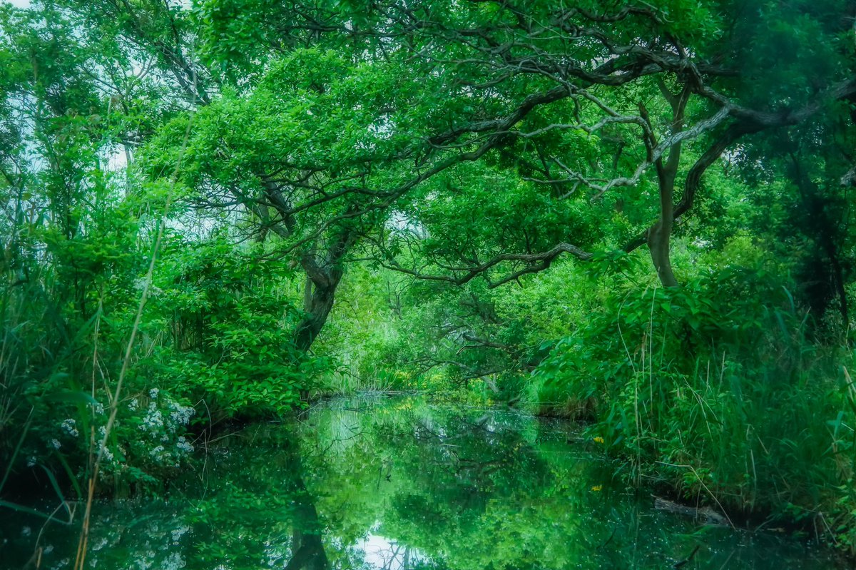 カメラで撮影してLightroomとPhotoshopで編集してみました。

#写真 #Lightroom #Photoshop #デジタル一眼レフ