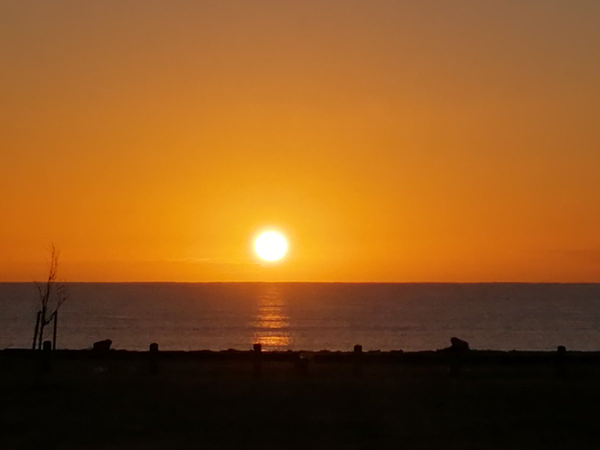 SlothDragon's tweet photo. 'Wildfire Sunset'
Available on Voice!
US$30
10 Editions
https://t.co/Oqtp09V5ZB
#SunsetNFT #nftphotography https://t.co/JBpKQyKgMt