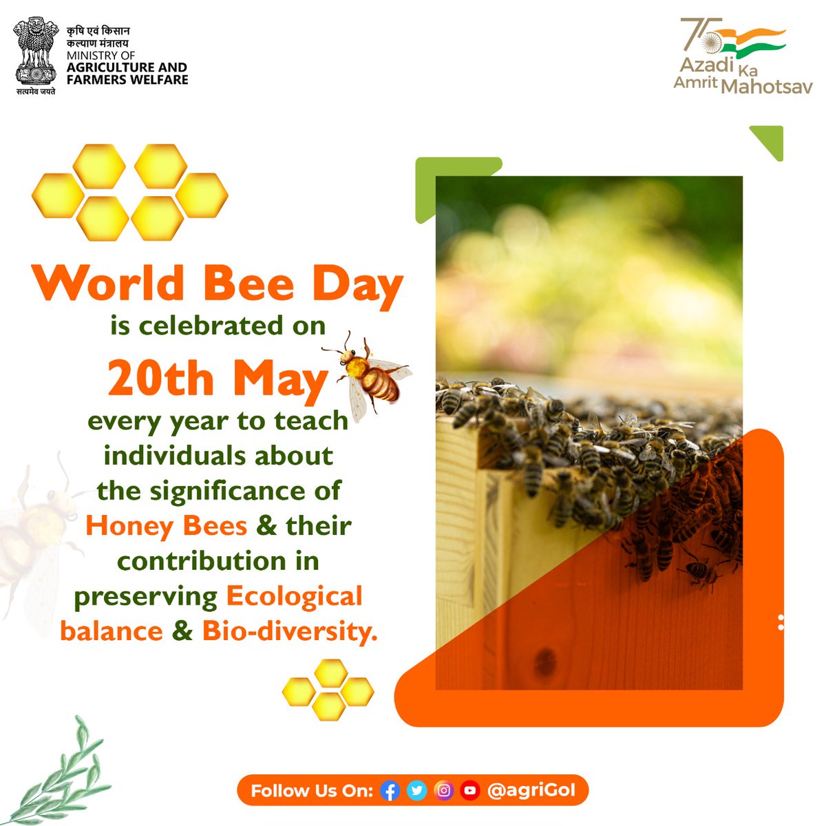 World Bee Day on 20th May, 2022
#WorldBeeDay2022 #ICAR 
#beeday #worldbeeday #honeybee
#Azadikaamritmahotsav #india  #agrigoi #farming #agriculture #government  #agriresearch #agritech
