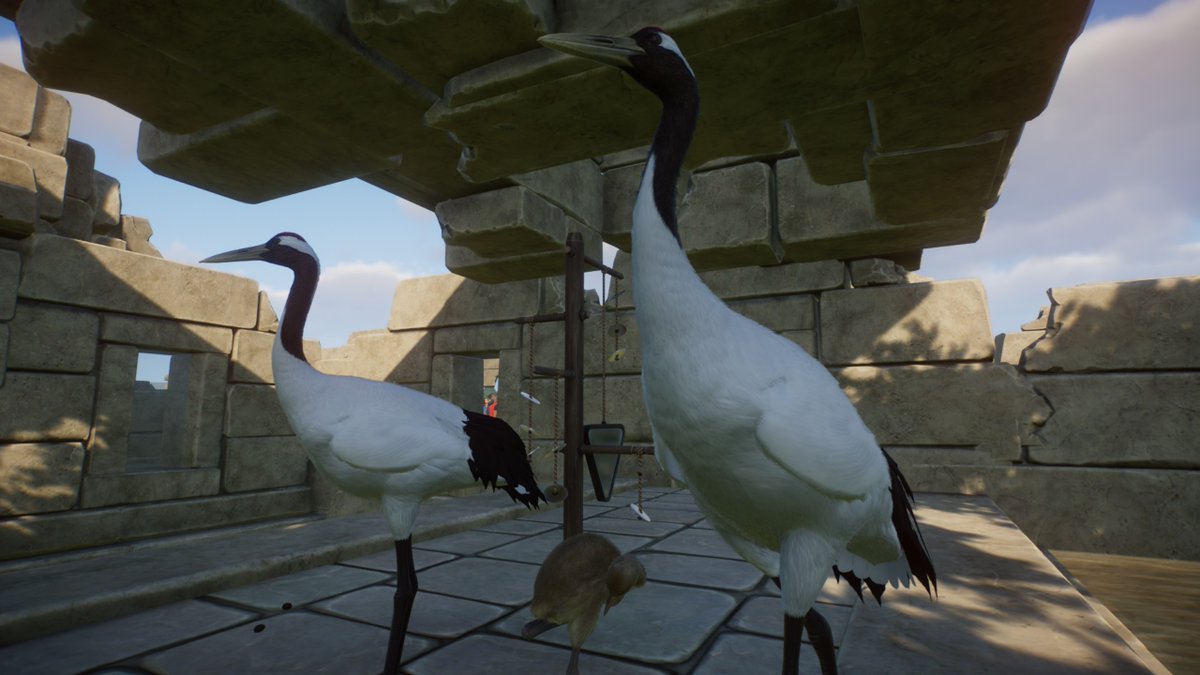 MathleteeYT's tweet image. I am so excited how this zoo is looking!  I have two more animals from the #wetlandspack to go @PlanetZooGame added the Red Crowned Crane tonight.

#planetzoo #streamrecap #franchisemode