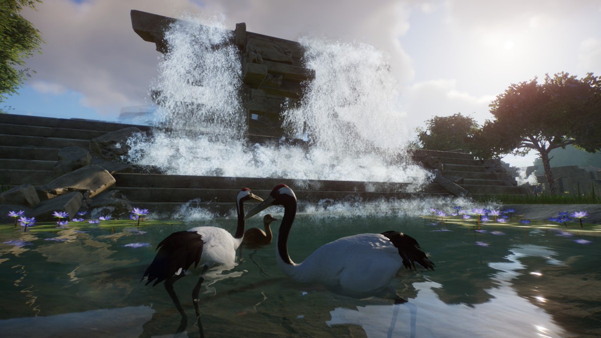 MathleteeYT's tweet image. I am so excited how this zoo is looking!  I have two more animals from the #wetlandspack to go @PlanetZooGame added the Red Crowned Crane tonight.

#planetzoo #streamrecap #franchisemode