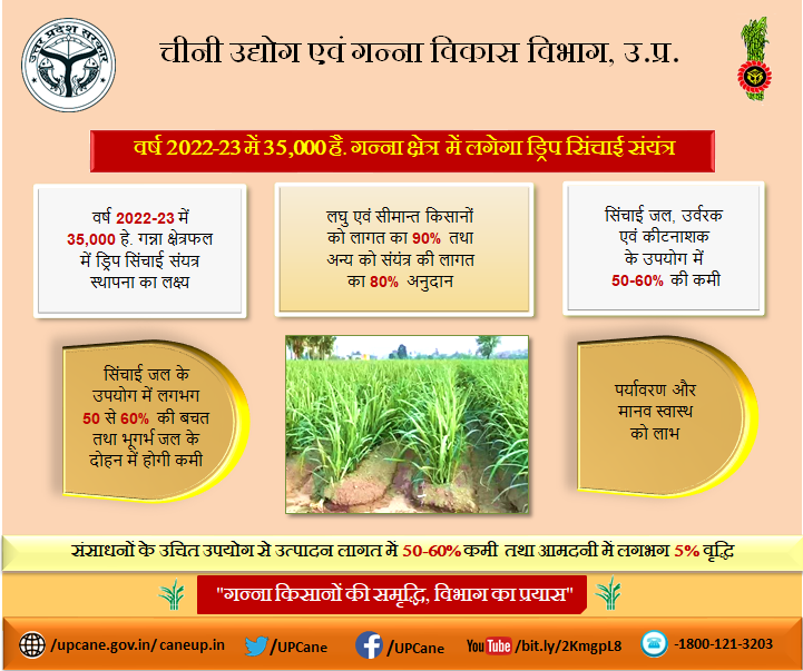Cane Development UP tweet media