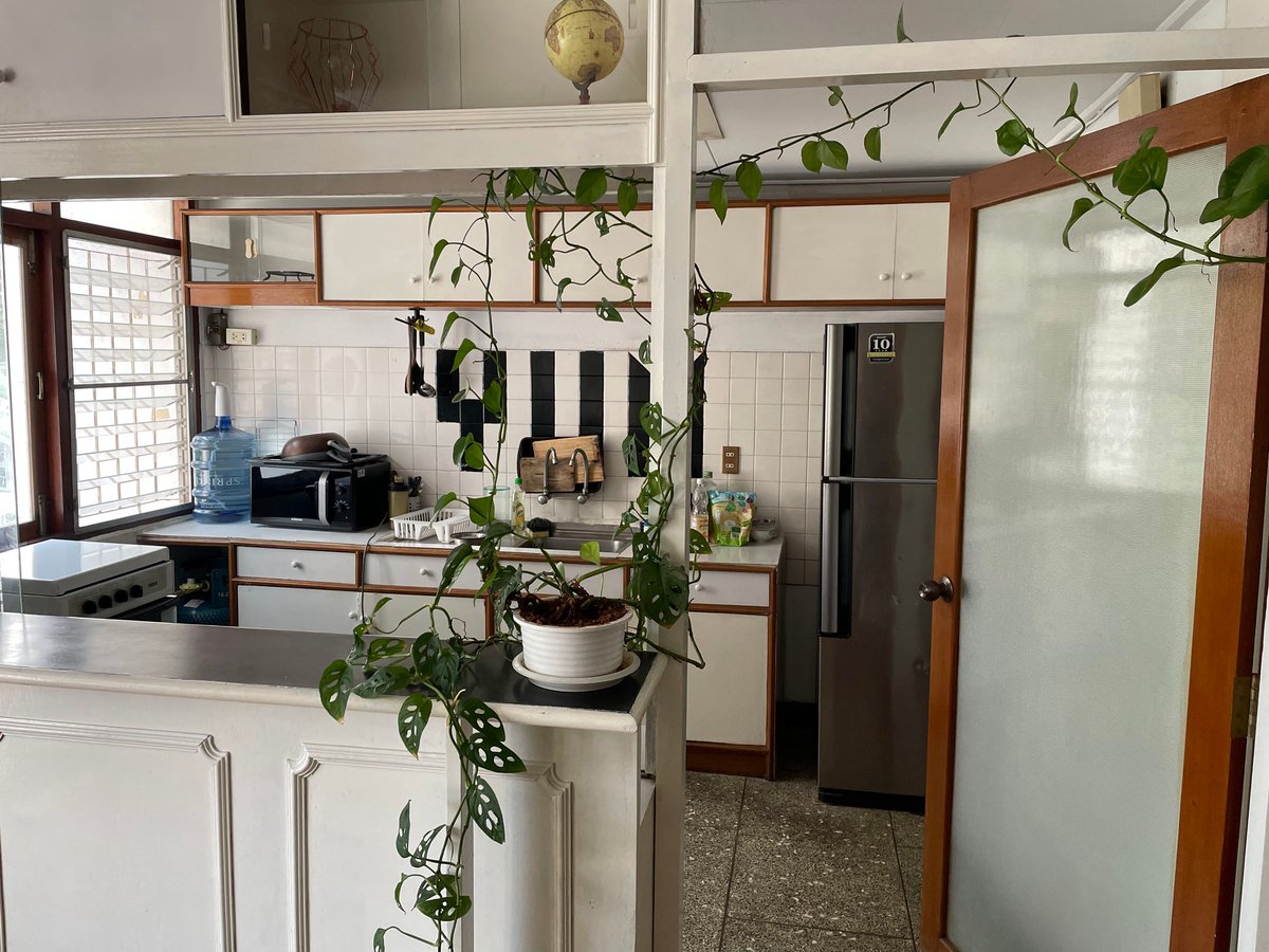 sayfun's tweet photo. Snooze, Spooky, and myself are looking for a roomie in #BKK. You know us from Twitter -  so if you know anyone who fits our style, let us know :-) 3BR, 120+ Sqm, downtown yet quiet. Thx 🙏 #bangkok #roommate #FBsucks https://t.co/r2GRUim2Hf