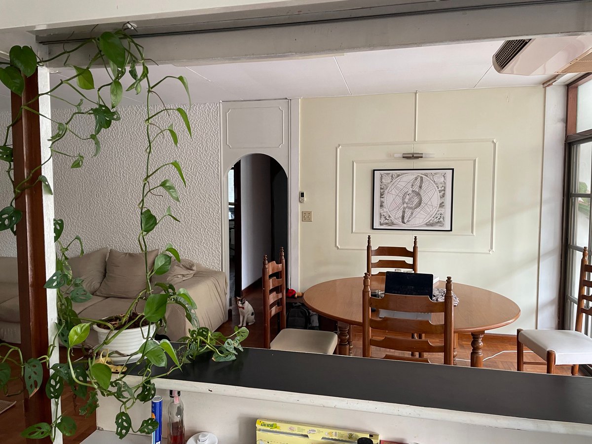 sayfun's tweet photo. Snooze, Spooky, and myself are looking for a roomie in #BKK. You know us from Twitter -  so if you know anyone who fits our style, let us know :-) 3BR, 120+ Sqm, downtown yet quiet. Thx 🙏 #bangkok #roommate #FBsucks https://t.co/r2GRUim2Hf