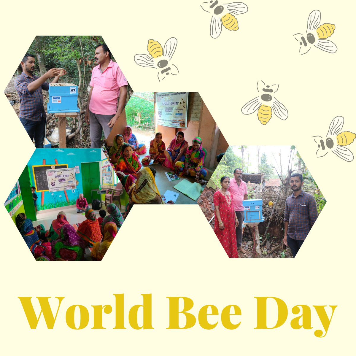 ConcernIndia_'s tweet image. On World Bee Day, happy to share that we imparting training on beekeeping to communities in Karnataka and Odisha with the support of grants from @dcb_bank.
#concernindiafoundation #dcbbank #worldbeeday #ecosystem #beekeeping #karnataka #odisha #training #communitydevelopment
