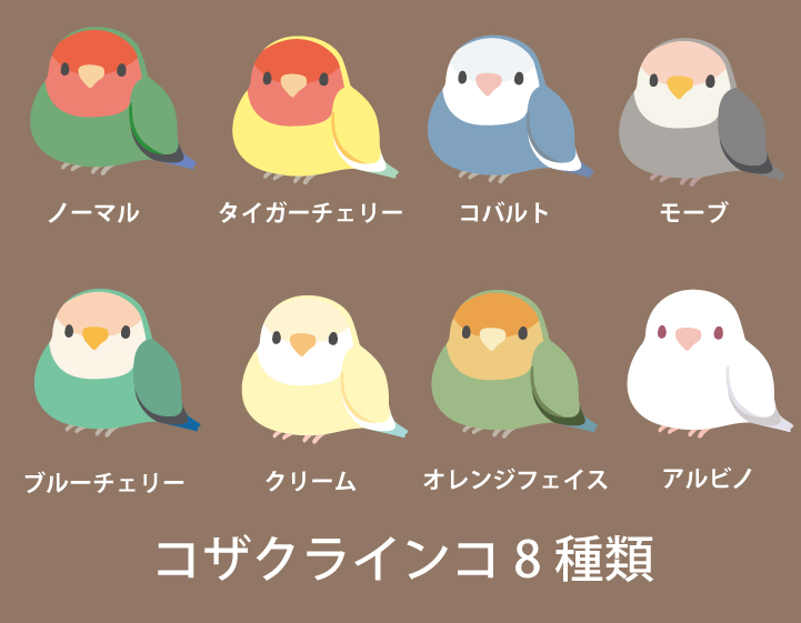 ぽてっと小鳥さん水筒のコザクラインコ8種類です。コザクラの可愛さが