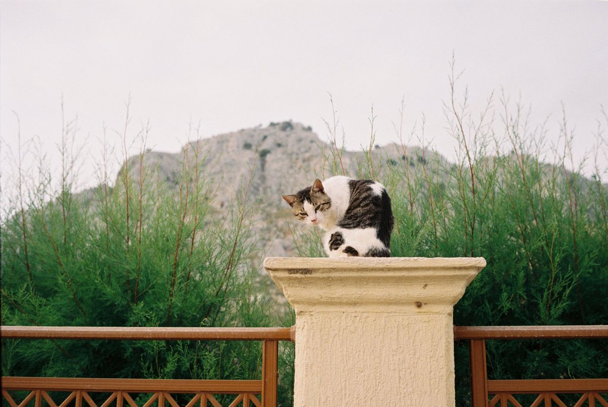 Philip J. Schwarz tweet media