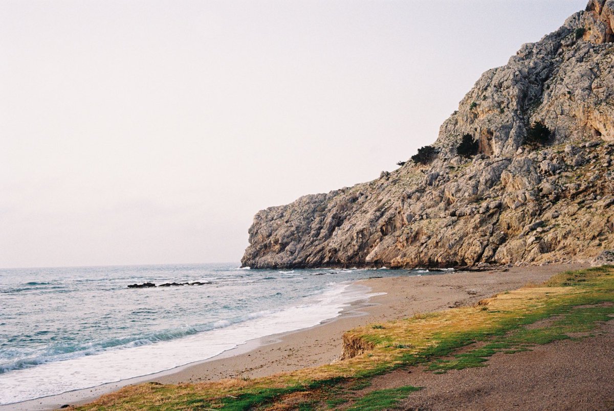 Philip J. Schwarz tweet media