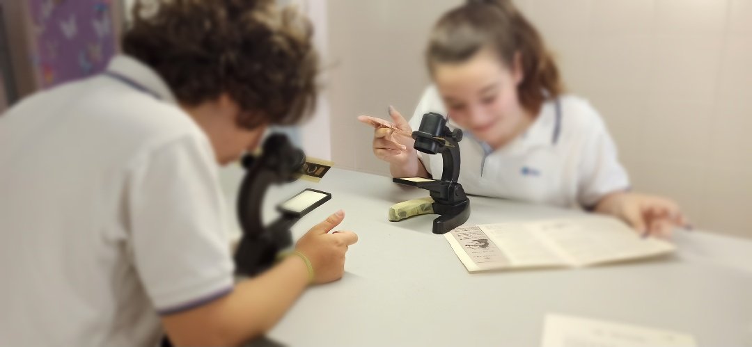 fecmips's tweet photo. Resulta que ayer los alumnos de #cuartoEP utilizaron el #laboratorio para observar elementos no observables a simple vista con la ayuda del microscopio🔬
👉La joya de la corona fue...¡Una abeja!🐝 ¿Pues qué día es hoy? El #DiaMundialdelasAbejas
Oye, ni adrede.🏅
@colegiosfec https://t.co/xDEBzK5AjJ