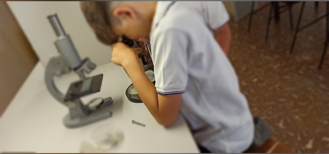 fecmips's tweet photo. Resulta que ayer los alumnos de #cuartoEP utilizaron el #laboratorio para observar elementos no observables a simple vista con la ayuda del microscopio🔬
👉La joya de la corona fue...¡Una abeja!🐝 ¿Pues qué día es hoy? El #DiaMundialdelasAbejas
Oye, ni adrede.🏅
@colegiosfec https://t.co/xDEBzK5AjJ