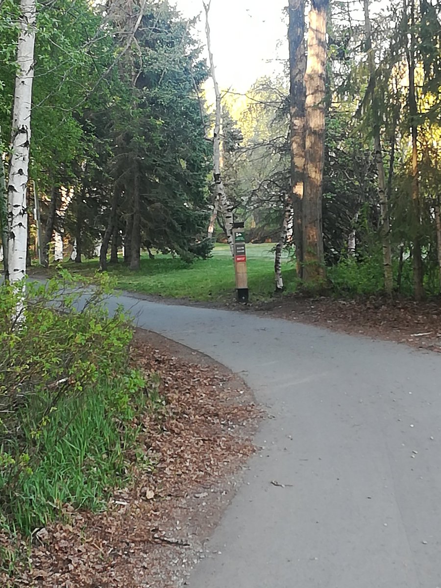 WalkaboutAK's tweet photo. When you're in Anchorage  walk about the bike trails. #anchoragerocks https://t.co/BfutV5usQK