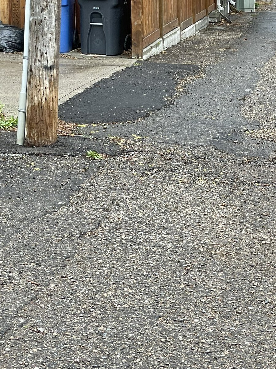 iamwaywardrob's tweet photo. . @LethbridgeCity any idea what the pills are all over my alley? @YQLTattler https://t.co/ODdYGVbsEB