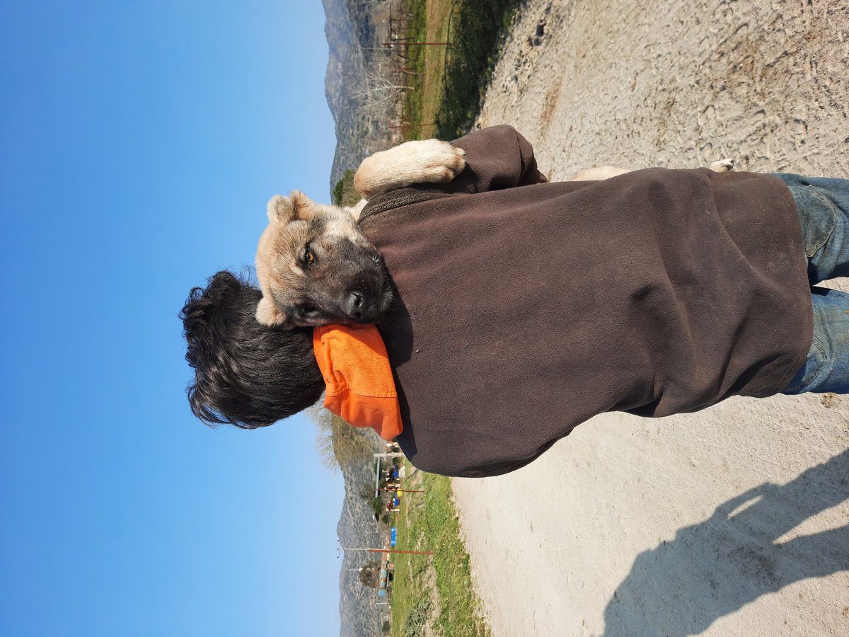 Tanıstıralım.