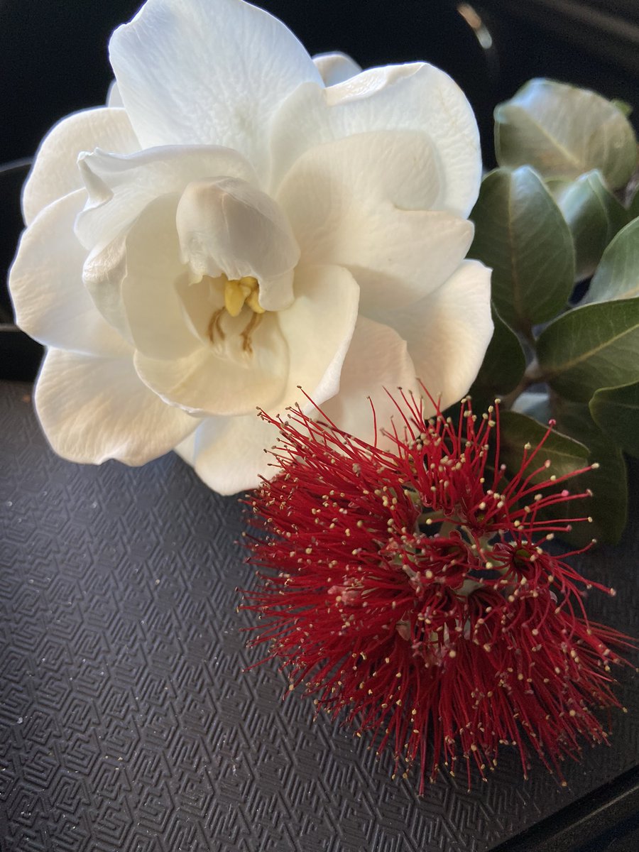 Touched by the surprise makana from a parking attendant I see a few times a week. She brought them to share with me.  In our brief exchanges we made a connection. Wondering what other relationships are naturally built just by being our authentic selves.